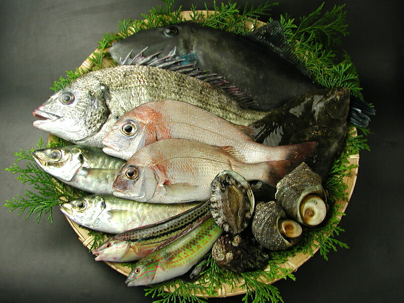 瀬戸内海の天然魚介類詰め合わせ（6〜8人分）送料込み