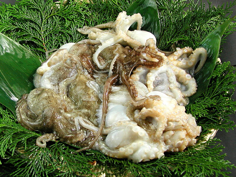 瀬戸内産　いいだこ　1kg入のサムネイル