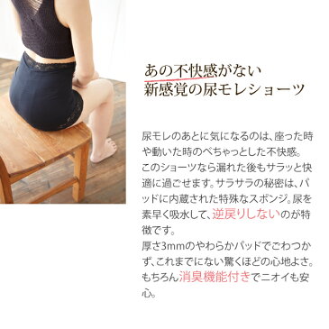 【同色2枚組】【TBSキニナル金曜日にて紹介!】こころぜ 約45cc対応 スタイリッシュショーツ1枚 CH【メール便送料無料】 M L LL レディース 女性用 失禁パンツ 尿漏れ 尿漏れパンツ 吸水 綿 すっぽり おしゃれ ソフトガードル