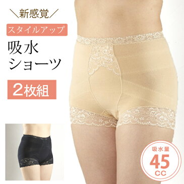 【同色2枚組】【TBSキニナル金曜日にて紹介!】こころぜ 約45cc対応 スタイリッシュショーツ1枚 CH【メール便送料無料】 M L LL レディース 女性用 失禁パンツ 尿漏れ 尿漏れパンツ 吸水 綿 すっぽり おしゃれ ソフトガードル
