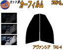 【送料無料】フロント (s) アヴァンシア TA1-4 カット済みカーフィルム 運転席 助手席 三角窓 左右セット スモークフィルム フロントドア 車種別 5%...