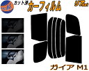 【送料無料】リア (b) ガイア M1 カッ