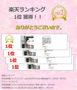 H-1 空気清浄機 【宅急便 送料無料】 東レ グループ製フィルタろ過材使用 HEPAフィルター採用 コロナウイルス対策 15畳用 コンパクト 16cm×26cm ヘパフィルター マイナスイオン ウィルス対策 換気 IJIO製