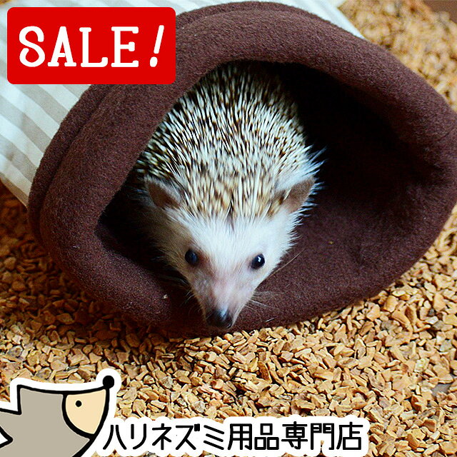 ゆうパケットOKはりねずみんみん共...