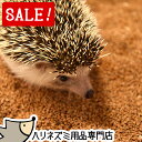 【スーパーSALE特別価格】はりねずみんみん共和国　くるみリター・クルミリター　5リットル　クルミデザートサンド　ハリネズミが掘って遊べる床材　ホリホリ床材　オリジナル床材