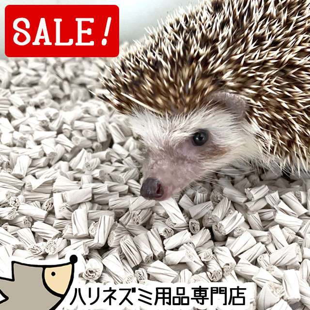 【スーパーSALE特別価格】はりねず