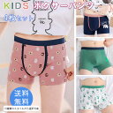 【4点セット 送料無料 × SALE セール】 キッズ ジュニア パンツ 下着 男の子 女の子アンパサンド ボクサーパンツ ブリーフ 100-170cm 男の子...