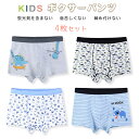 【4点セット 送料無料 × SALE セール】 キッズ ジュニア パンツ 下着 男の子 女の子アンパサンド ボクサーパンツ ブリーフ 135-185cm 男の子...