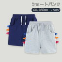 ショートパンツ キッズ 送料無料 男女兼用 子供服 春 夏 こども服 ベビー メンズ ハーフパンツ ハイウエスト半ズボン ジャージ キッズ ボトムス こども服 学生 新品 普段着 夏物 ファッション 綿 カジュアルパンツ 大きなポケット スーツパンツ90 100 110 115 120 125