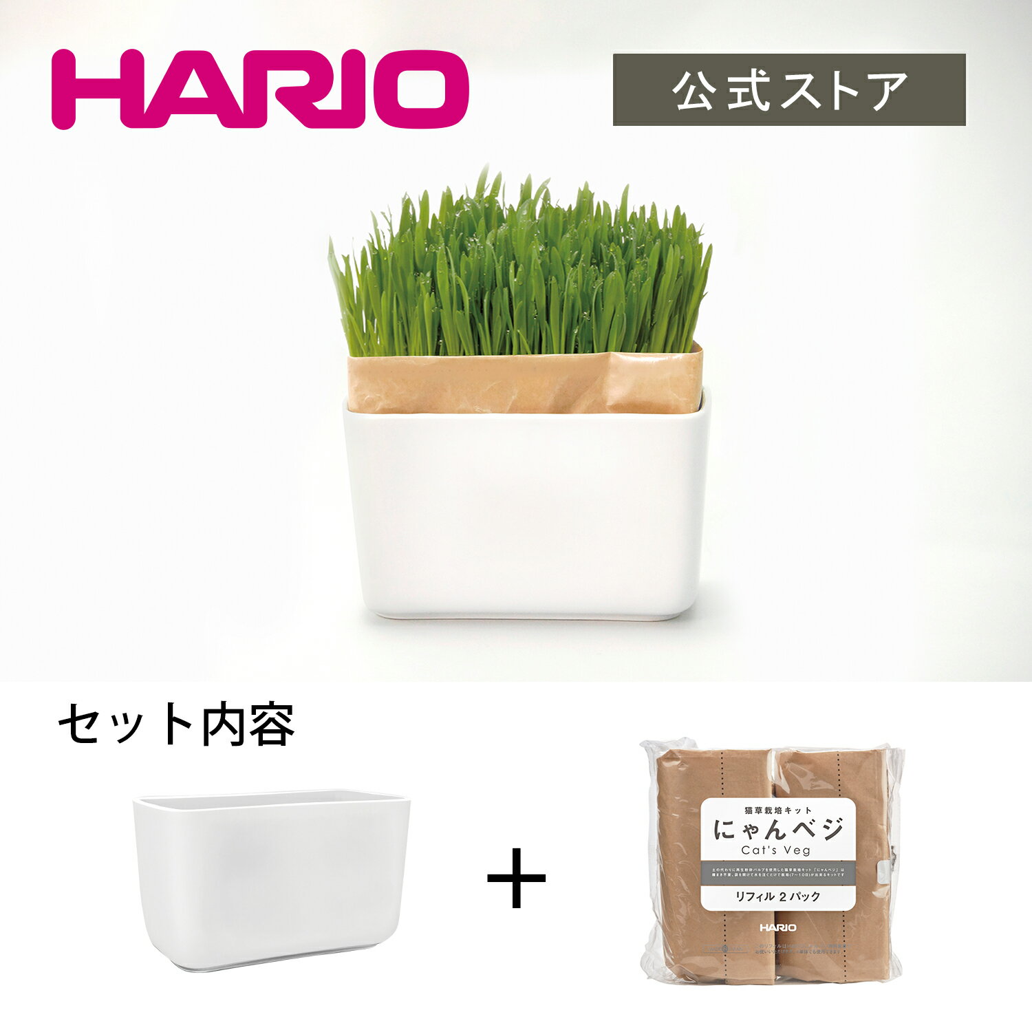 猫草栽培キット にゃんベジセット　HARIO ハリオ 猫草 猫 猫用 エン麦 燕麦 草 種 ペットグッズ ペットフード