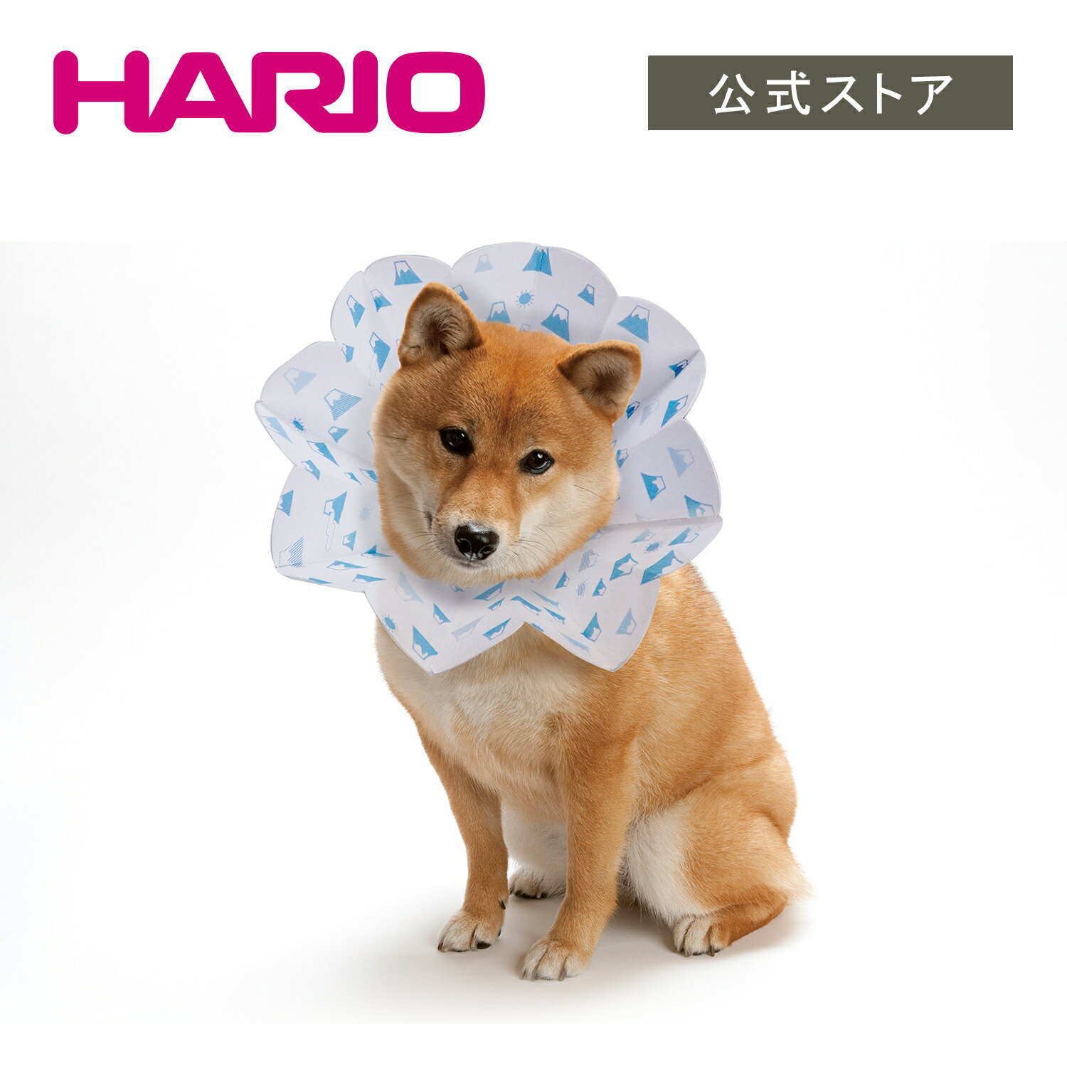 コンパクト エリザベスカラー ペット専用保護具 紙製 犬 猫 小型犬 erico エリコ ハリオ HARIO 公式ショップ