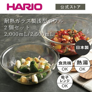 【公式ショップ】HARIO 耐熱ガラス製浅型ボウル 2個セット　HARIO ハリオ 食洗機対応 耐熱ガラス 浅型 ボウル セット 調理 製菓