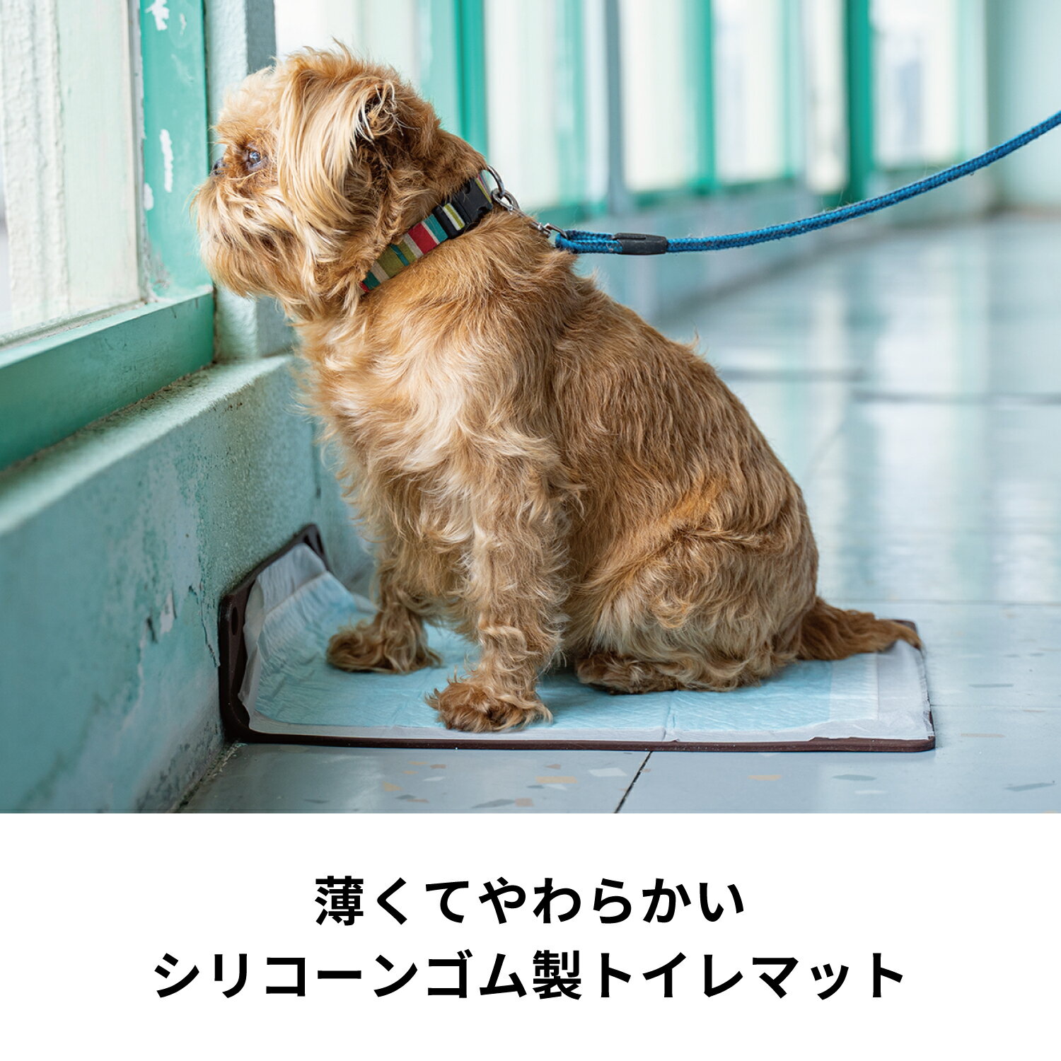 ワンコトイレマットJワイドCBR