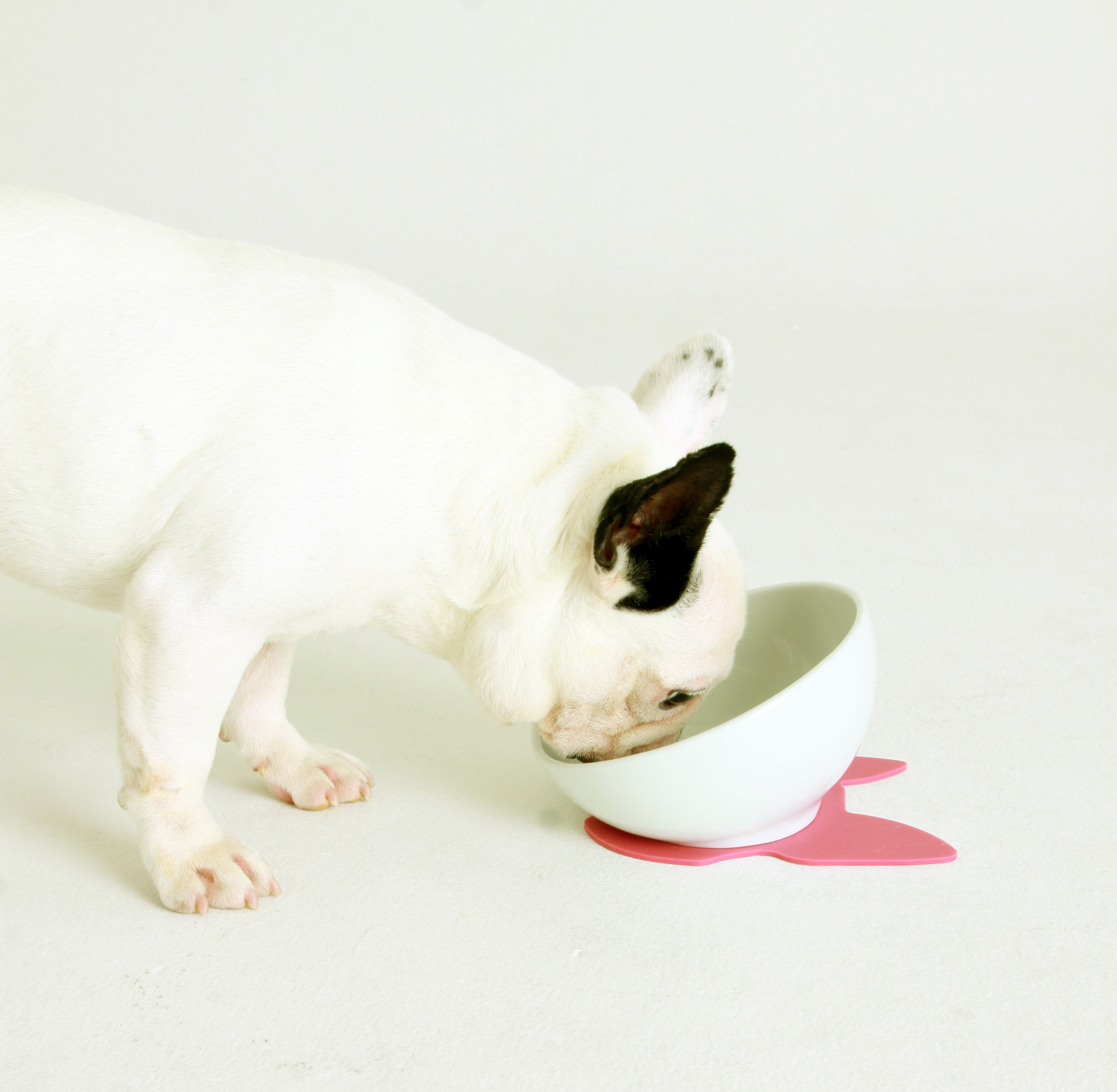 犬 猫 食器 餌皿 エサ皿 フードボウル フレ...の紹介画像2