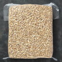 【Cashew Nuts Broken 10kg】生カシューナッツ ブロークン 割れ 無塩 業務用サイズ 10kg