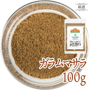 ガラムマサラ 100g 厳選11種ミックススパイス 香辛料