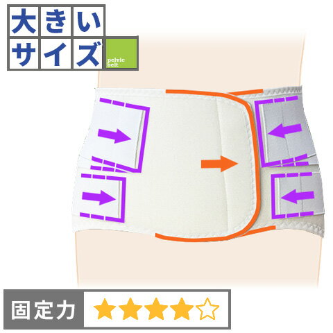 楽天コルセットミュージアム【3Lサイズ】椎間板ヘルニア　脊柱管狭窄症　腰痛ベルト｜ハードガード・ソフト/コルセットミュージアム