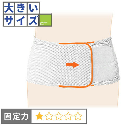 【3Lサイズ】デスクワークの腰痛　腰痛ベルト｜サクロライトFX/コルセットミュージアム
