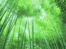 Harise��parise���ۡ�̾�����졡�ࡼ���롼����߸�ƻ