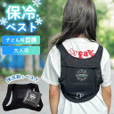 冷感ベスト 冷却ベスト クールベスト メッシュ アイストラスト 保冷剤 大人用 子供用 熱中症対策 暑さ対策 リュック ランドセル 背中 冷却パッド ベスト 冷...