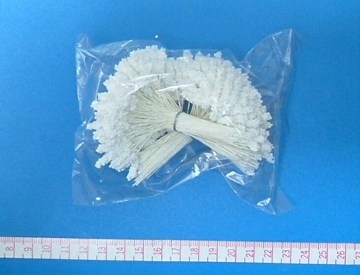 【アートフラワー材料】ペップカスピア（大）白