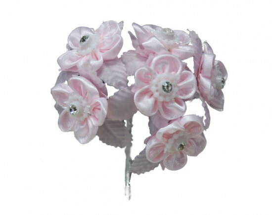 �ھ���#6979-2�ʥԥ󥯡�12�ء�