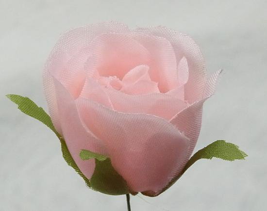 �ڥޥꥢ����������ʥ٥ӡ��ԥ󥯡�8�ء�