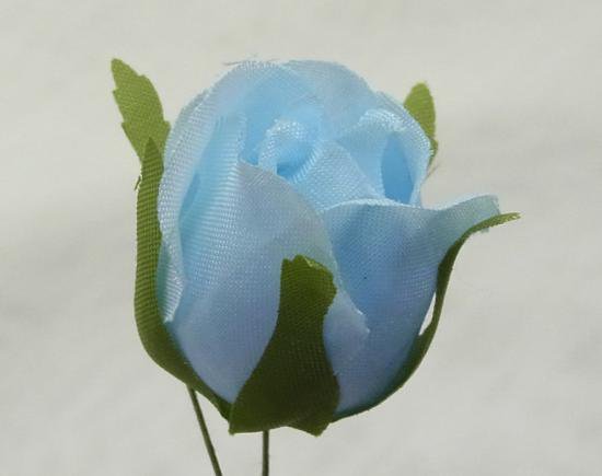 �ڥޥꥢ�������鲡ʥ֥롼��12�ء�