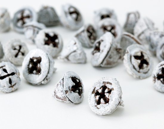 クリスマス【ユーカリの実　スノー（約50g、約30〜40個）】