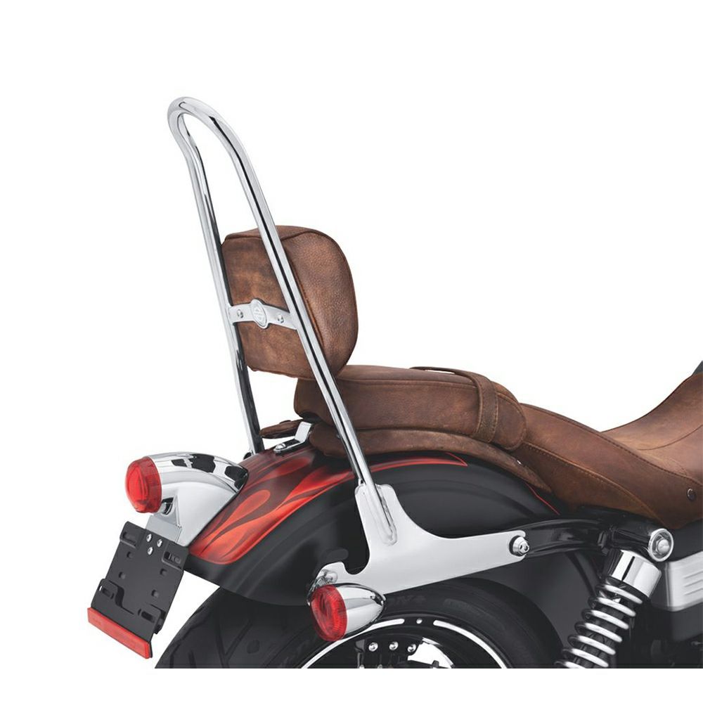 ��52300044A�ۥϡ��졼���������ԡ�����H-D�ǥ��å���֥롦���������С����åץ饤��One-Piece H-D Detachables Sissy Bar Upright��������