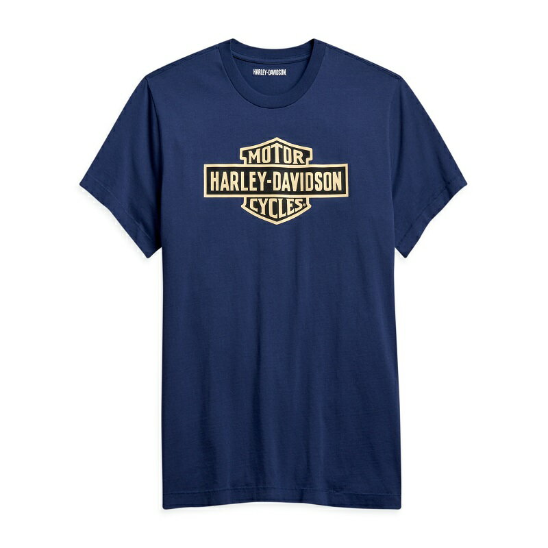 HARLEY-DAVIDSON 純正（ハーレーダビッドソン）メンズヴィンテージフロントロゴTシャツ_96194-21VM