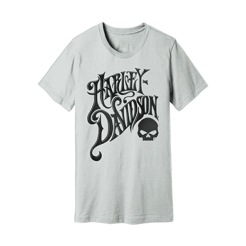 HARLEY-DAVIDSON 純正（ハーレーダビッドソン）メンズ スカルTシャツ_96343-22VM