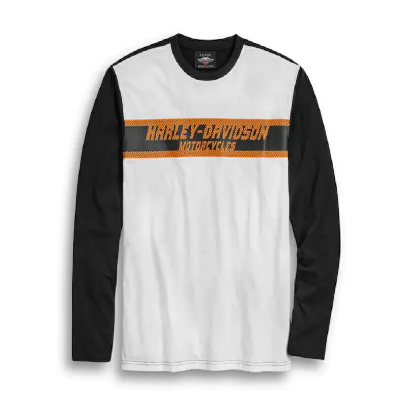 HARLEY-DAVIDSON 純正（ハーレーダビッドソン）メンズ サークルスカル カラーブロック Tシャツ_96389-20VM