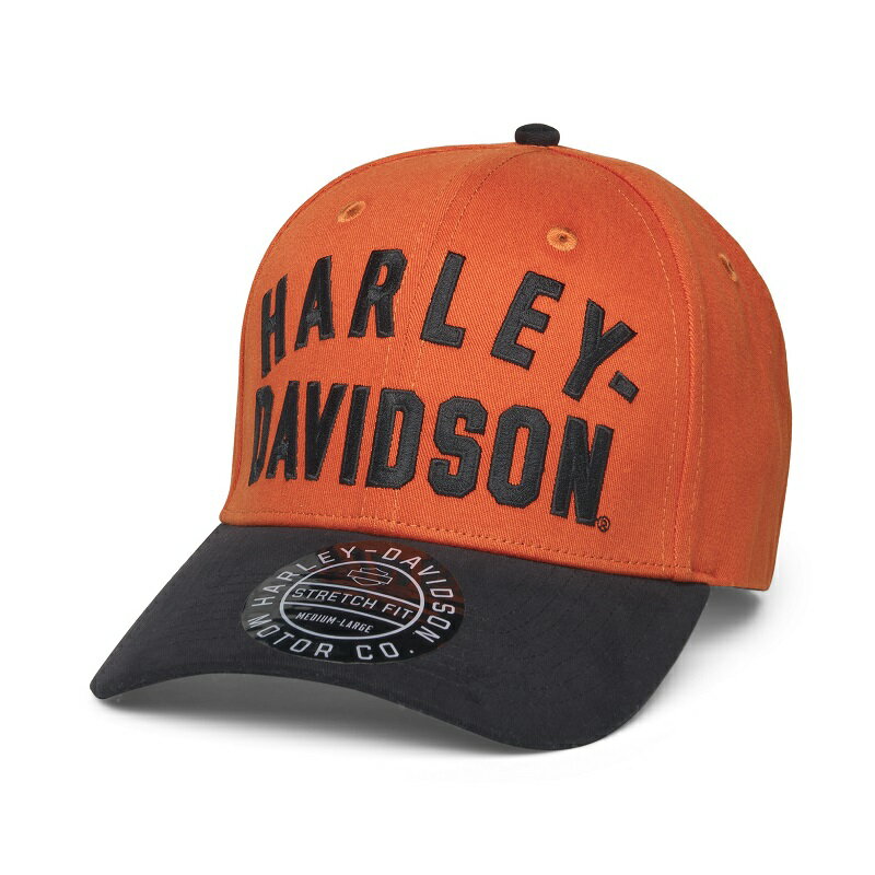 HARLEY-DAVIDSON in[[_rbh\jYXe[vXgb`tBbgLbv_97636-22VM