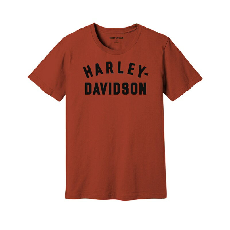 Rakuten - HARLEY-DAVIDSON 純正（ハーレーダビッドソン）メンズステイプルTシャツ_99072-22VM