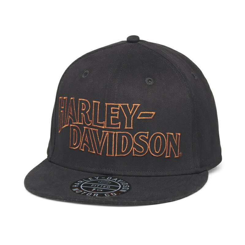 HARLEY-DAVIDSON in[[_rbh\jYn[[Lbv_99404-22VM