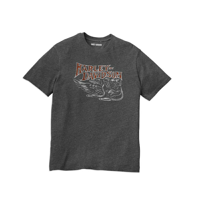 HARLEY-DAVIDSON 純正（ハーレーダビッドソン）メンズレトログラフィックTシャツ_96046-22VM