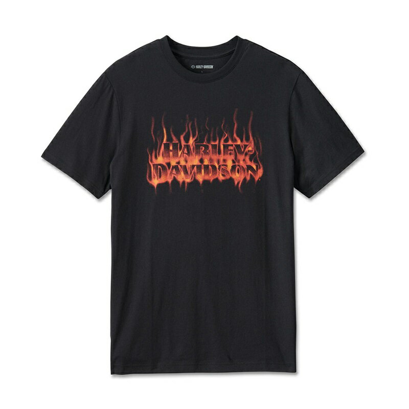 Rakuten - HARLEY-DAVIDSON 純正（ハーレーダビッドソン）メンズ ロードナイトTシャツ_96533-24VM