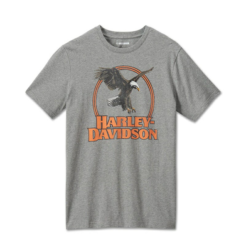 乐天商城 - HARLEY-DAVIDSON 純正（ハーレーダビッドソン）メンズ モニュメントバレーTシャツ_96534-24VM