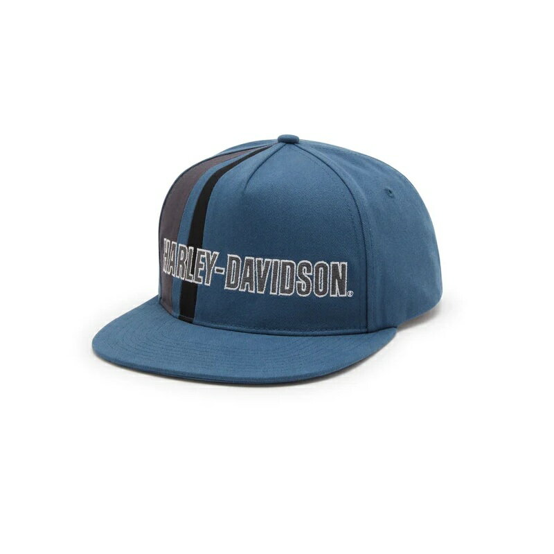 HARLEY-DAVIDSON 純正（ハーレーダビッドソン）ハーレーダビッドソン レガシー スイッチバック アジャ..