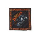 HARLEY-DAVIDSON 純正(ハーレーダビッドソン)ライトニングボルトグラフィックバンダナ_97730-25VX(4)