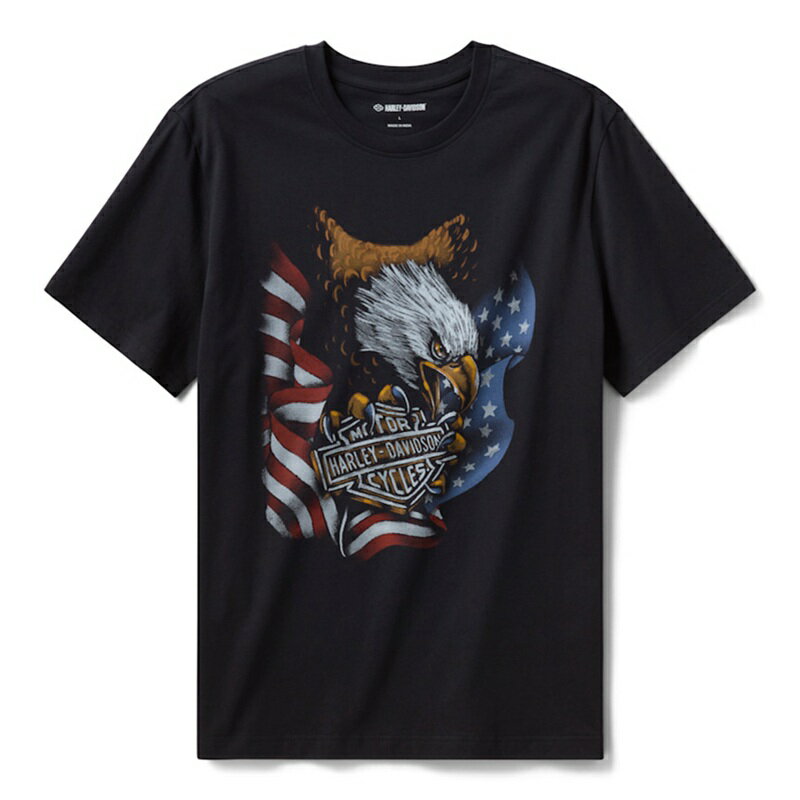 HARLEY-DAVIDSON 純正（ハーレーダビッドソン）メンズ スターズ＆ストライプス イーグルTシャツ_96173-26VM