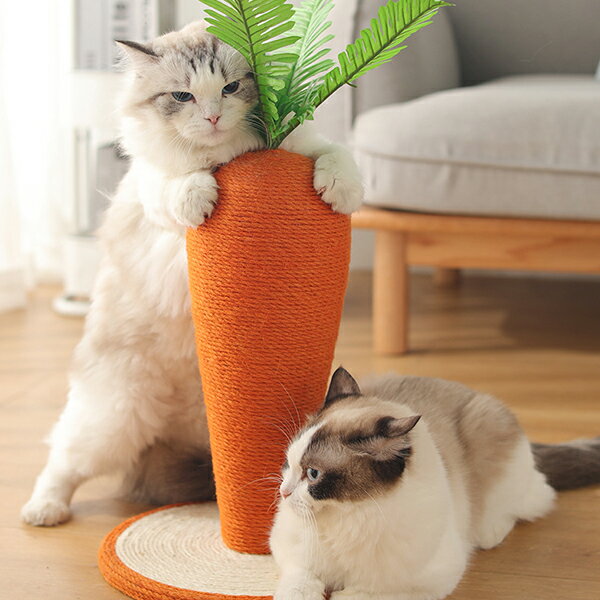 ����̵�� ǭ �ޤȤ� �� �٥å� ǭ�� �ޤȤ� �ˤ󤸤� �ޤȤ� ǭ �޸��� �ͥ� �ޤȤ� ǭ�Ĥ�Ȥ� ������� ���襤�� �ˤ󤸤��ޤȤ� �ͻ�