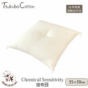 つくばコットン オーガニックコットン CS対応 座布団 55×59 | オーガニック コットン 寝具 座布団 綿100 日本製 ナチュラル 生地 結婚祝 父の日 母の日 リラックス 引越し 新居 新生活 化学物質過敏症 こたつ