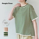 PeopleTree オーガニックコットン ニットボーダー柄半袖トップ | オーガニック コットン 綿 ナチュラル フェアトレード ピープルツリー PeopleTree レディース カットソー 半袖 春 秋 きれいめ シンプル Tシャツ カジュアル