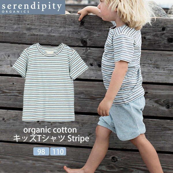 乐天商城 - serendipity オーガニックコットン キッズTシャツ(半袖) Stripe | オーガニック コットン 綿 ナチュラル ギフト プレゼント 半袖 春夏 薄手 子供用 ストライプ ユニセックス [M便 1/2]