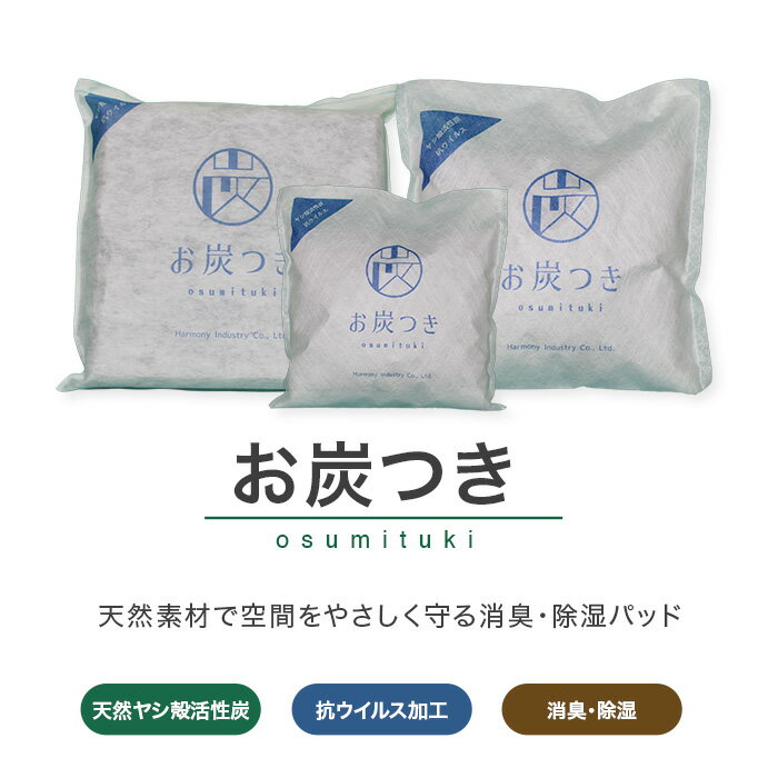 お炭つき 湿気 湿気取り 消臭 除湿 除湿剤 ミニ 靴 玄関 セール クローゼット 乾燥剤 コロナウイルス対策 AGアルファ