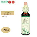 バッチフラワー レメディ ホリー 20ml （0.7floz） Bach Flower