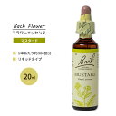 楽天米国サプリ直販のNatural Harmonyネルソンバッチ バッチオリジナルフラワー レメディ マスタード 20ml （0.7floz） Nelson Bach Original Flower Remedy Mustard フラワーエッセンス