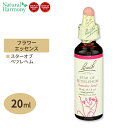 バッチフラワー レメディ スターオブベツレヘム 20ml（0.7floz） Bach Flower